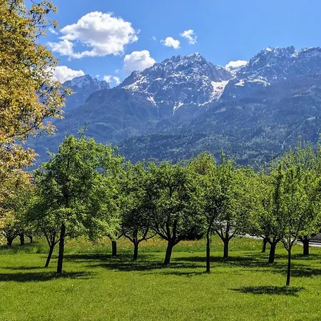Gaestehaus Nussdorf - Zurueck Zur Sommerfrische Lienz